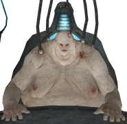 AlvinPeats
