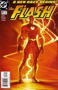 Flash v.2 207
