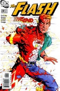 Flash v.2 230