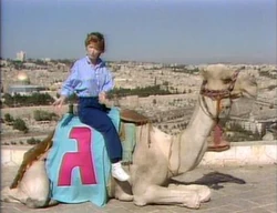 Telaviv.bonniecamel