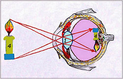Optitseskie elementi eye