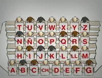 SheepAlfabetoRap