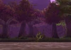Teldrassil grove.jpg