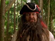 Brownbeard