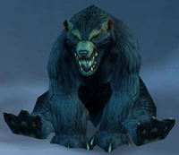 Black Bear