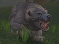 Vicious Gray Bear.jpg