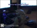 Soirofl.gif