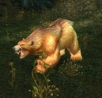 Ferocious Grizzled Bear