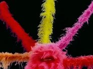 Danceboas