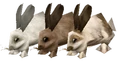 Rabbit.png