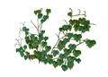 Gartenaccessoires-03-1-