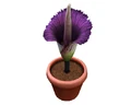 Gartenaccessoires-030-1-