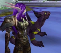 Image of Rainwen Val'arro