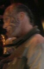 Tattooed man, The House of Quark