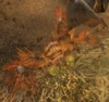 Darkfang Lurker