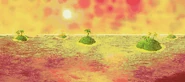 Orange Ocean 6