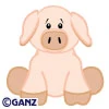pig webkinz
