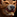 IconSmall Bear