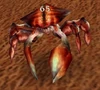 Silithid Protector