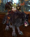 Commander Bargok