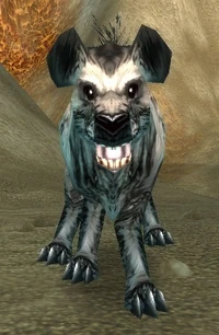 Image of Magram Bonepaw