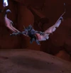 Kraul Bat