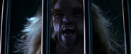 ManeSabre2