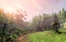 Serenity farm