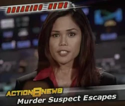 Reporter