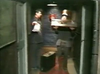 Svenskasesam049