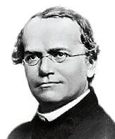 GregorMendel.png