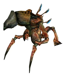 myrmidon