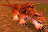 Durotar Tiger