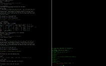 Debugger