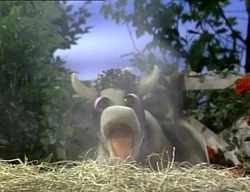 Cow.Sneezesong