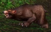 Ashenvale Bear