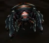 Borer Beetle