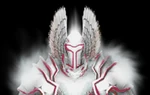 Paladinflag
