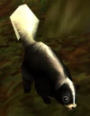 Mountain Skunk