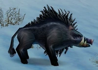 Image of Crag Boar