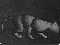 Black Cat.jpg