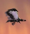 Dreadtalon