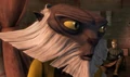 Tee Watt Kaa & Anakin.jpg