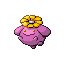 Skiploom RZ variocolor