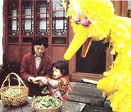 Bbinchina-explore