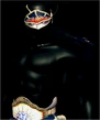 CGShadow.PNG