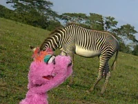 LolaAdventurasSafari2