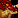Red dragonflight