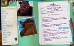 Muppets-go-com-bio-bobo