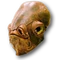 Personen-Icon.png